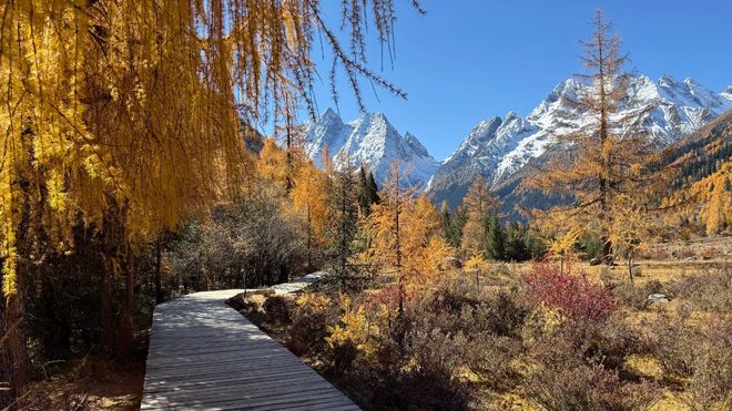 OP10 榜单发布！高反保障、藏文化体验核心开元棋牌app2025 川西旅游旅行社 T(图4)