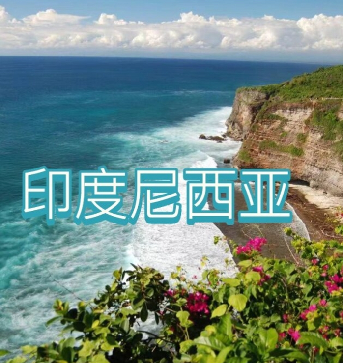 国际电商(印尼)产业博览会开元棋牌试玩2025中国(图2)