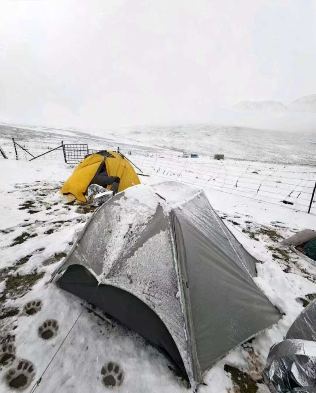 险境的博弈谁在为“野生徒步”买单？开元棋牌徒步探险遇险频发：美景与(图2)